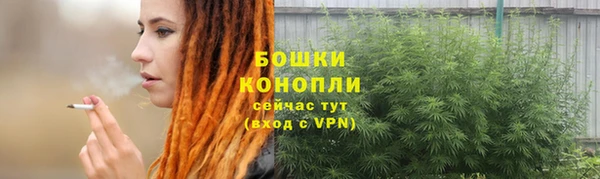 ALPHA PVP Горно-Алтайск