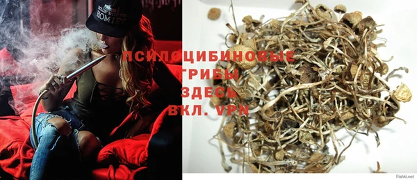 не бодяженный Горнозаводск