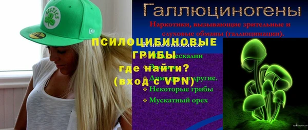 ALPHA PVP Горно-Алтайск