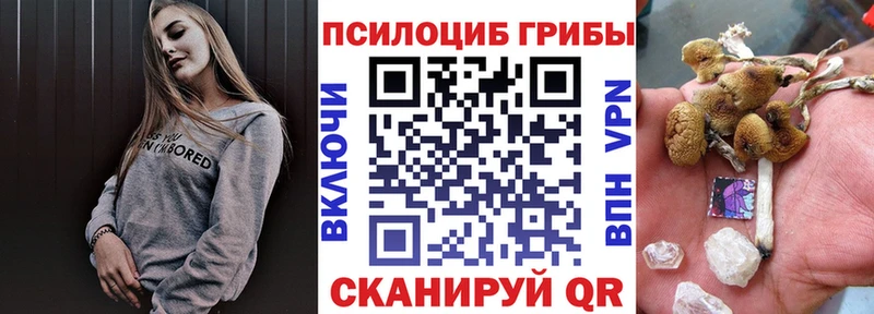 Купить где  Всеволожск  Галлюциногенные грибы Cubensis 